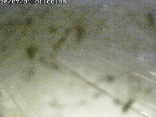 江府町佐川