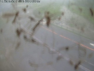 江府町佐川