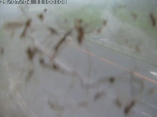 江府町佐川