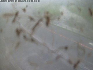 江府町佐川