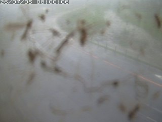 江府町佐川