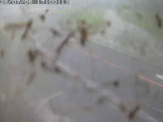江府町佐川