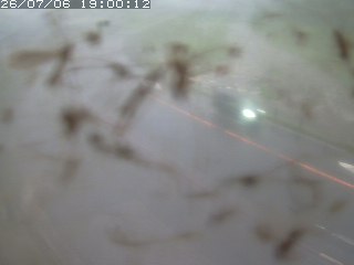 江府町佐川