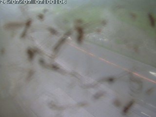 江府町佐川