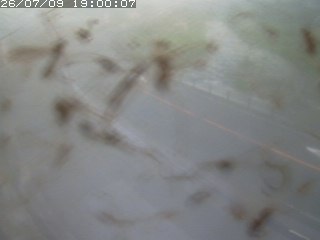 江府町佐川