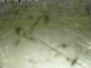 江府町佐川