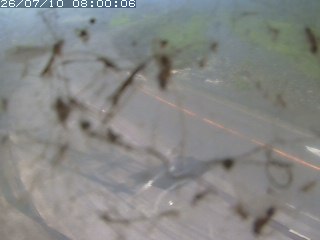 江府町佐川