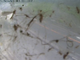 江府町佐川