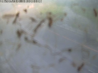 江府町佐川