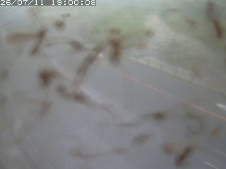 江府町佐川