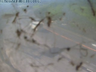 江府町佐川