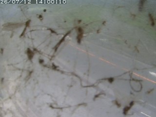 江府町佐川