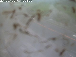 江府町佐川