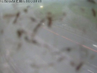 江府町佐川