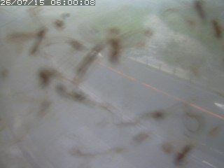 江府町佐川