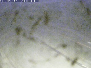 江府町佐川