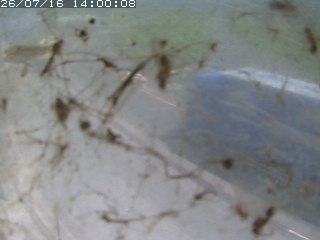 江府町佐川
