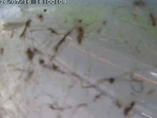 江府町佐川