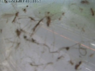 江府町佐川