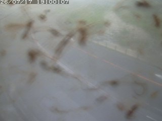 江府町佐川