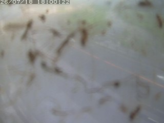 江府町佐川
