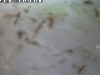 江府町佐川
