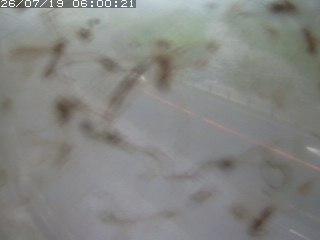 江府町佐川