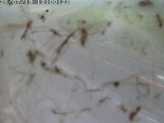 江府町佐川