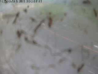 江府町佐川