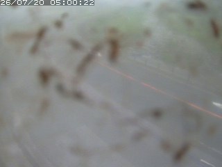江府町佐川
