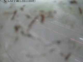 江府町佐川