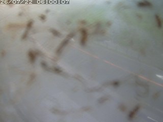 江府町佐川