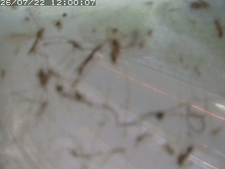 江府町佐川
