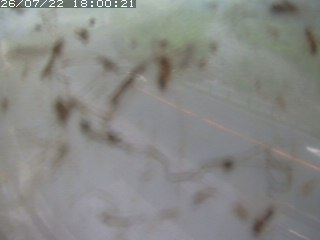 江府町佐川