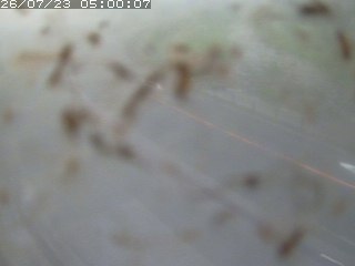 江府町佐川