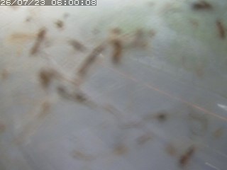 江府町佐川