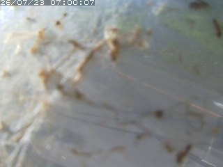 江府町佐川