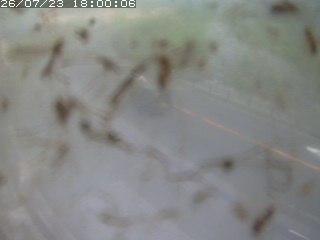 江府町佐川