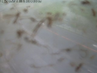 江府町佐川