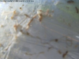 江府町佐川