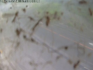 江府町佐川