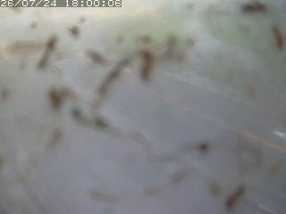 江府町佐川