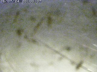 江府町佐川