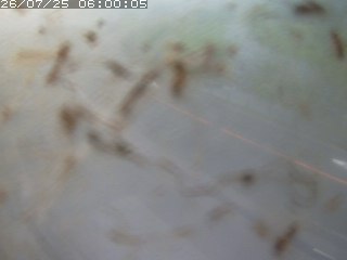 江府町佐川
