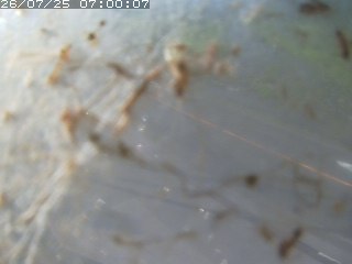 江府町佐川