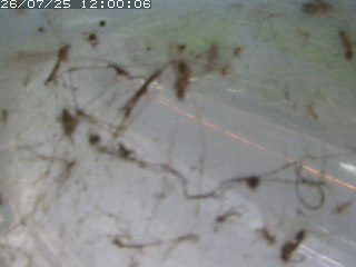 江府町佐川