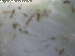 江府町佐川