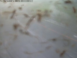 江府町佐川