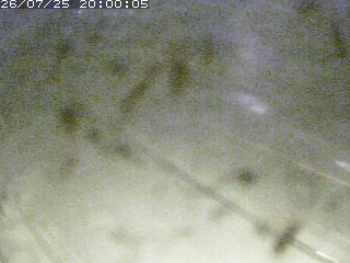 江府町佐川