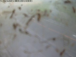 江府町佐川